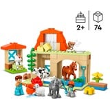 LEGO DUPLO Cuidado de Animales en la Granja, Juegos de construcción Juego de construcción, 2 año(s), Plástico, 74 pieza(s), 1,2 kg