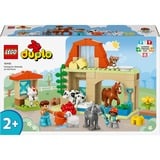 LEGO DUPLO Cuidado de Animales en la Granja, Juegos de construcción Juego de construcción, 2 año(s), Plástico, 74 pieza(s), 1,2 kg