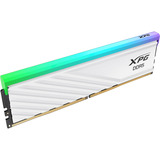 ADATA DIMM 32 GB DDR5-6400 (2x 16 GB) Kit Dual, Memoria RAM blanco