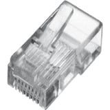 Digitus Conector modular para cable plano, Enchufe transparente