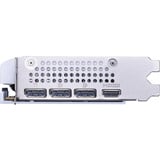 MSI GeForce RTX 5060 8G VENTUS 2X OC WHITE NVIDIA 8 GB GDDR7, Tarjeta gráfica blanco, GeForce RTX 5060, 8 GB, GDDR7, 128 bit, 7680 x 4320 Pixeles, PCI Express x16 5.0