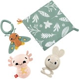 HRB17 juego educativo, Anillo de dentición HRB17 juego educativo, Anillo de dentición