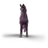 Schleich 70841, Muñecos 