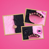 ZURU Fuggler - Baddie Fuggs, Peluches 3 año(s)