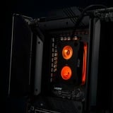 Thermal Grizzly Intel Mycro Direct-Die Pro RGB, Cuerpo de refrigeración negro/Transparente