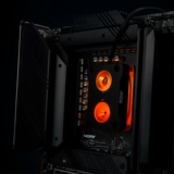 Thermal Grizzly TG-MY-DD-P-RGB-i-V1, Cuerpo de refrigeración negro/Transparente