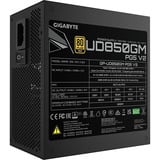 GIGABYTE GP-UD850GM PG5 V2, Fuente de alimentación de PC negro