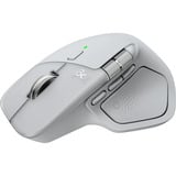 Logitech 910-007563, Ratón gris claro