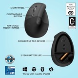 Logitech Lift Ratones, Ratón grafito/Negro, Izquierda, Diseño vertical, Óptico, RF Wireless + Bluetooth, 4000 DPI, Grafito