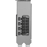 PNY NVIDIA RTX PRO 2000 Blackwell Generation 16GB SB, Tarjeta gráfica A granel