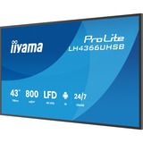 iiyama LH4366UHSB-B1AG, Pantalla de gran formato negro (mate)