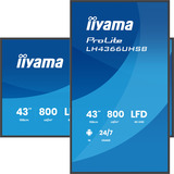 iiyama LH4366UHSB-B1AG, Pantalla de gran formato negro (mate)