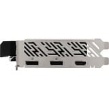 ASRock 90-GA5QZZ-00UANF, Tarjeta gráfica 