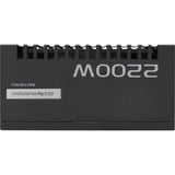 ASUS ASUS ASUS-PRO-WS-2200P, Fuente de alimentación de PC negro