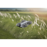 DJI Neo 2 Fly More Combo, avión por control remoto gris