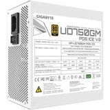 GIGABYTE GP-UD750GM PG5 ICE, Fuente de alimentación de PC blanco