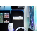 Kingston FURY FURY Beast 16 GB 5600 MT/s DDR5 CL40 DIMM White RGB XMP, Memoria RAM blanco, 16 GB, 1 x 16 GB, DDR5, 288-pin DIMM