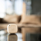 Shelly BLU Button Tough ZB, Botón mocha