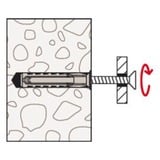 fischer Tacos SX Plus 6x30 en cubo, Pasador gris claro