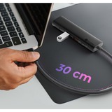 ICY BOX IB-HUB1437-CPD Alámbrico USB 3.2 Gen 2 (3.1 Gen 2) Type-C Negro, Hub USB Alámbrico, USB 3.2 Gen 2 (3.1 Gen 2) Type-C, 100 W, Negro, 10 Gbit/s, Aluminio, Plástico