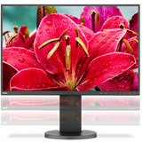 NEC G207694-001A3, Monitor LED negro