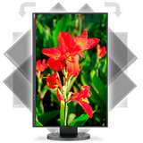 NEC G207694-001A3, Monitor LED negro