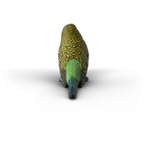 Schleich Farm World Periquito, Muñecos 