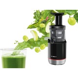 Bosch MESM731M exprimidor Exprimidor lenta 150 W Negro, Licuadora negro/Acero fino, Exprimidor lenta, Negro, 55 RPM, 1,3 L, 1 L, 150 W
