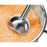 Bosch MS6CB61V1 licuadora 0,6 L Batidora de inmersión 1000 W Antracita, Negro, Batidora de mano negro/Antracita, Batidora de inmersión, 0,6 L, Función de impulso, 1,4 m, 1000 W, Antracita, Negro