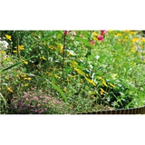 GARDENA 534-20 cercadillo de césped Cercadillo para césped Plástico Negro, Límites marrón, Cercadillo para césped, Plástico, Negro, 200 mm, 9000 mm, 1 pieza(s)