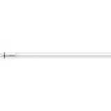 Philips Master lámpara LED 6500 K 18,2 W G13 18,2 W, G13, 3100 lm, 50000 h
