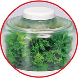 Tefal DPA 130 LA MOULINETTE 1000 1000 W Transparente, Blanco, Trituradora blanco, 0,3 kg, Transparente, Blanco, 1000 W