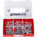 fischer FixTainer-DUOPOWER + Tornillo, Pasador gris claro/Rojo