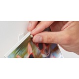 fischer GOW garra magnética, Imán plateado