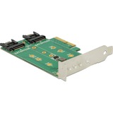 DeLOCK 89518 tarjeta y adaptador de interfaz Interno M.2, SATA, Controlador PCIe, M.2, SATA, PCIe 3.0, Windows 10 Education, Windows 10 Education x64, Windows 10 Enterprise, Windows 10 Enterprise x64,..., Caja