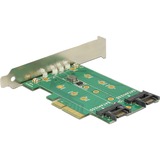 DeLOCK 89518 tarjeta y adaptador de interfaz Interno M.2, SATA, Controlador PCIe, M.2, SATA, PCIe 3.0, Windows 10 Education, Windows 10 Education x64, Windows 10 Enterprise, Windows 10 Enterprise x64,..., Caja