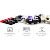 ADATA AUSDX256GUI3V30SHA2-RA1 memoria flash 256 GB MicroSDXC UHS-I Clase 10, Tarjeta de memoria 256 GB, MicroSDXC, Clase 10, UHS-I, 100 MB/s, 80 MB/s