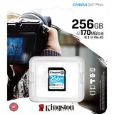 Kingston Canvas Go! Plus 256 GB SD UHS-I Clase 10, Tarjeta de memoria negro, 256 GB, SD, Clase 10, UHS-I, 170 MB/s, 90 MB/s