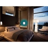 TP-Link Omada EAP115-Wall 300 Mbit/s Blanco Energía sobre Ethernet (PoE), Punto de acceso blanco, 2,4 GHz, 300 Mbit/s, 802.1x RADIUS, HTTPS, WPA, WPA-PSK, WPA2, WPA2-PSK, 10,100 Mbit/s