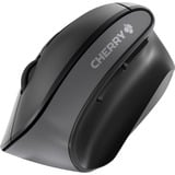 CHERRY MW 4500 ratón Oficina mano derecha RF inalámbrico Óptico 1200 DPI negro, mano derecha, Diseño vertical, Óptico, RF inalámbrico, 1200 DPI, Negro