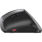CHERRY MW 4500 ratón Oficina mano derecha RF inalámbrico Óptico 1200 DPI negro, mano derecha, Diseño vertical, Óptico, RF inalámbrico, 1200 DPI, Negro