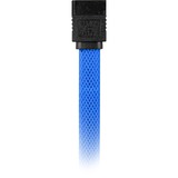 Sharkoon SATA 3 cable de SATA 0,3 m SATA 7-pin Negro, Azul azul, 0,3 m, SATA III, SATA 7-pin, SATA 7-pin, Macho/Macho, Negro, Azul