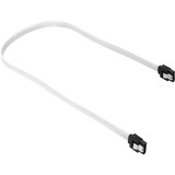 Sharkoon Sata 3 cable de SATA 0,3 m SATA 7-pin Negro, Blanco blanco, 0,3 m, SATA III, SATA 7-pin, SATA 7-pin, Macho/Macho, Negro, Blanco