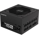 GIGABYTE P750GM unidad de fuente de alimentación 750 W 20+4 pin ATX ATX Negro, Fuente de alimentación de PC negro, 750 W, 100 - 240 V, 50 - 60 Hz, 12-6 A, Activo, 16 ms