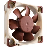 Noctua NF-A4X10-FLX sistema de refrigeración para ordenador Carcasa del ordenador Ventilador 4 cm Beige, Marrón 1 pieza(s) marrón/blanco, Ventilador, 4 cm, 4500 RPM, 8,2 m³/h, Beige, Marrón