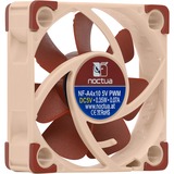 Noctua NF A4x10 5V PWM Carcasa del ordenador Ventilador 4 cm Marrón Ventilador, 4 cm, 1000 RPM, 5000 RPM, 19,6 dB, 8,9 m³/h