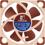 Noctua NF A4x10 5V PWM Carcasa del ordenador Ventilador 4 cm Marrón Ventilador, 4 cm, 1000 RPM, 5000 RPM, 19,6 dB, 8,9 m³/h