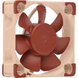 Noctua NF A4x10 5V PWM Carcasa del ordenador Ventilador 4 cm Marrón Ventilador, 4 cm, 1000 RPM, 5000 RPM, 19,6 dB, 8,9 m³/h