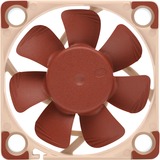 Noctua NF A4x10 5V PWM Carcasa del ordenador Ventilador 4 cm Marrón Ventilador, 4 cm, 1000 RPM, 5000 RPM, 19,6 dB, 8,9 m³/h