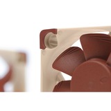 Noctua NF A4x10 5V PWM Carcasa del ordenador Ventilador 4 cm Marrón Ventilador, 4 cm, 1000 RPM, 5000 RPM, 19,6 dB, 8,9 m³/h